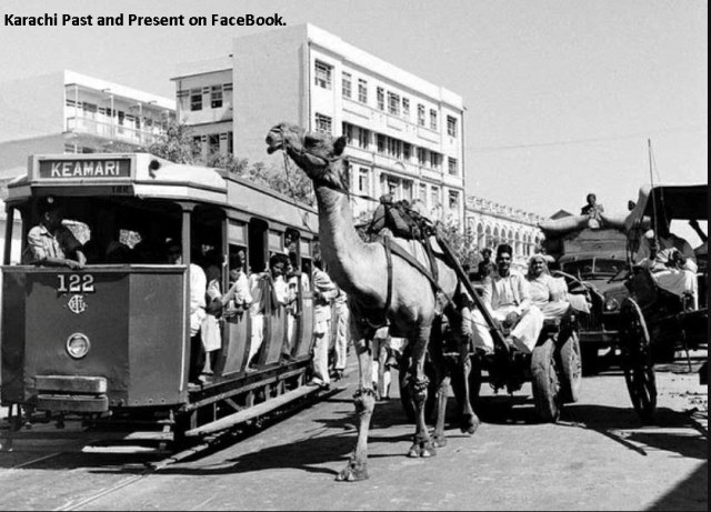 KarachiPastTramCamelCartTag