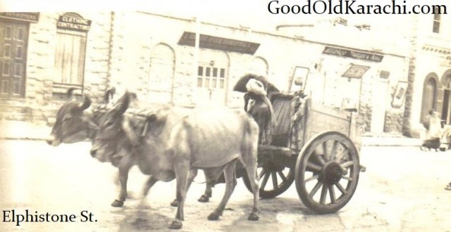 BullockCarts1900
